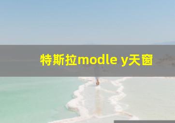 特斯拉modle y天窗